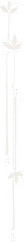 divider-flower-dark